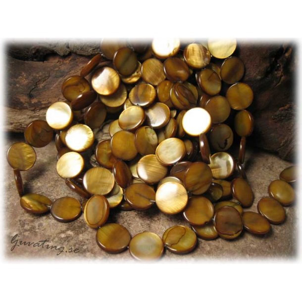 Gyllenbruna snckskal coins ca 14 mm 