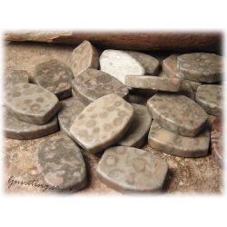 Jaspis flckig flat oval raka avslut ca 25x17 mm