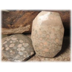 Jaspis flckig stor oval sten ca 58x45 mm