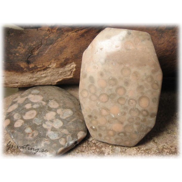 Jaspis flckig stor oval sten ca 58x45 mm