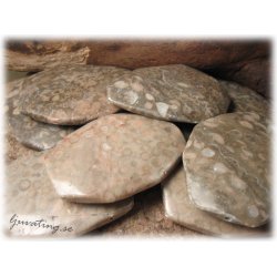 Jaspis flckig stor oval sten ca 58x45 mm